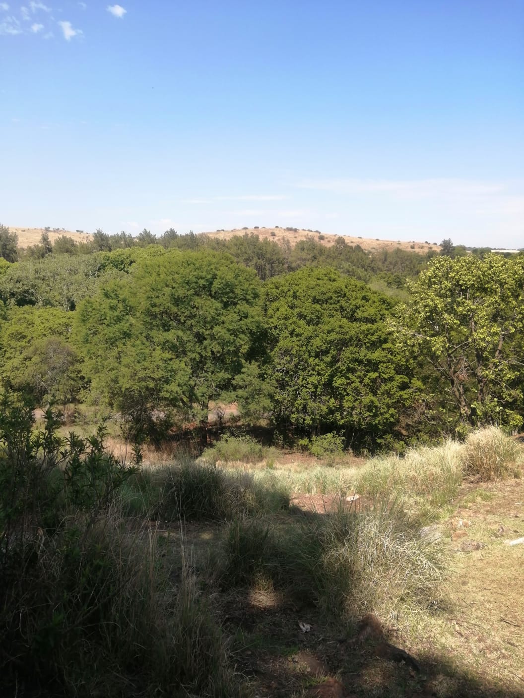 WhatsApp Image 2025-03-31 at 09.28.45